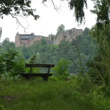 Ferienhaus Landau-arzheim *